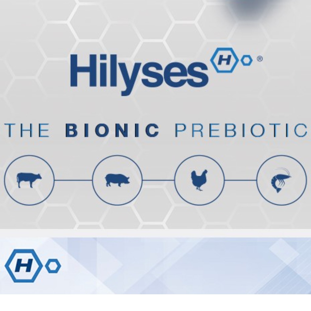 Suplemento para lechones: Hilyses