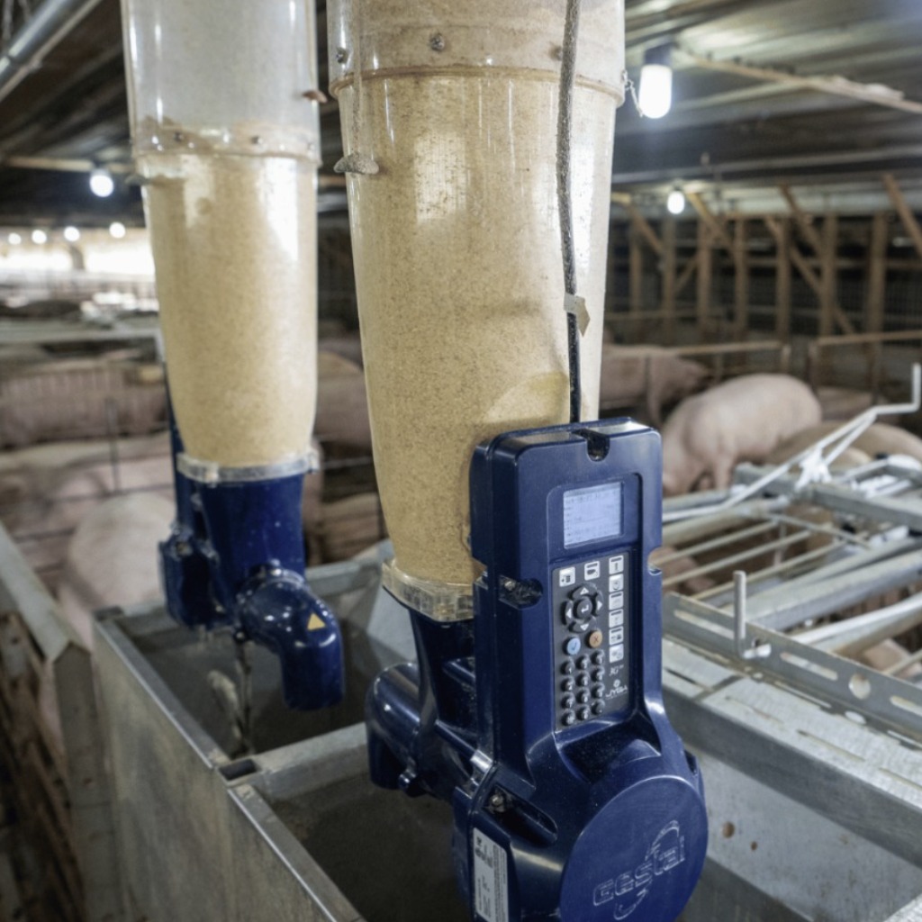 GESTAL 3G: Sistema de alimentación innovador para alojamiento grupal