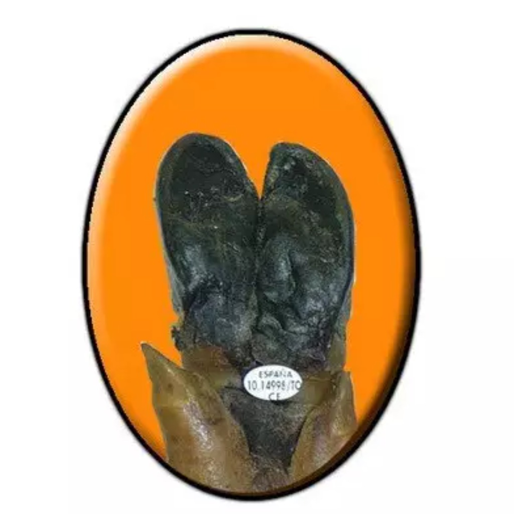 Oval push pin with 4 prongs for identifying hams 10000 units