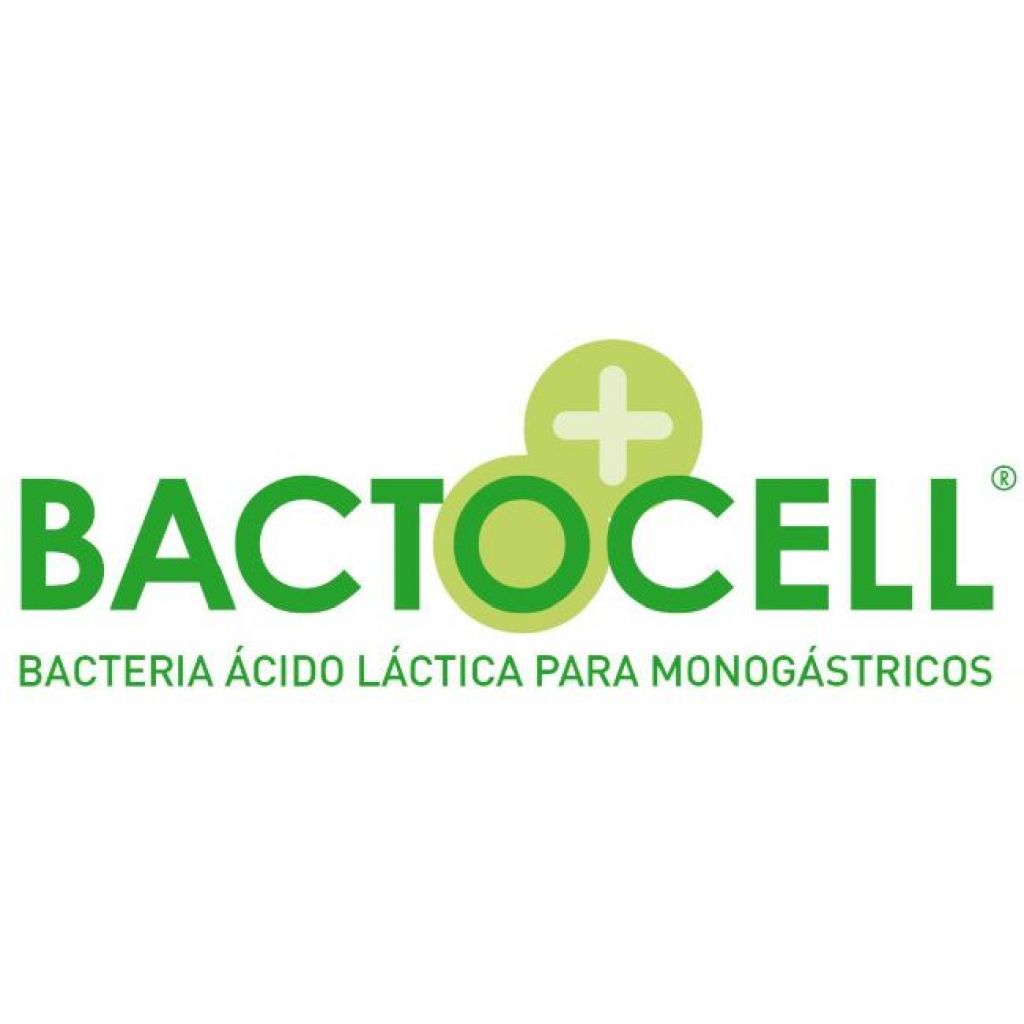 Bactocell