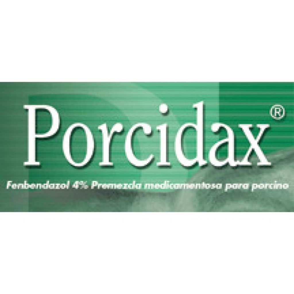 Porcidax