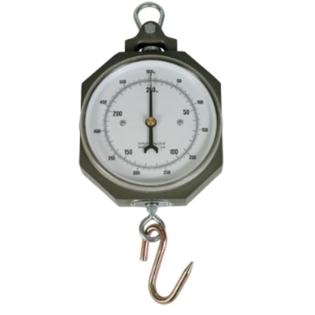 Dynamometr 250 kg z podziałką 1000 g