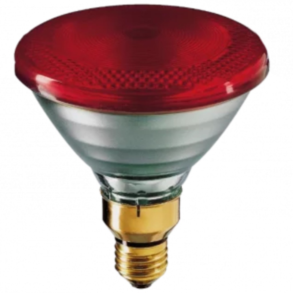 Ampoule infrarouge Philips PAR 100 watts blanc-rouge, 12 pièces