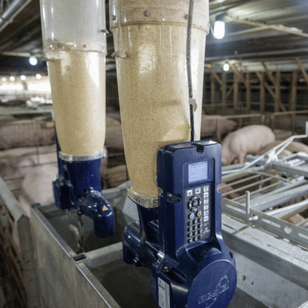 GESTAL 3G: Sistema de alimentação inovador para alojamento em grupo