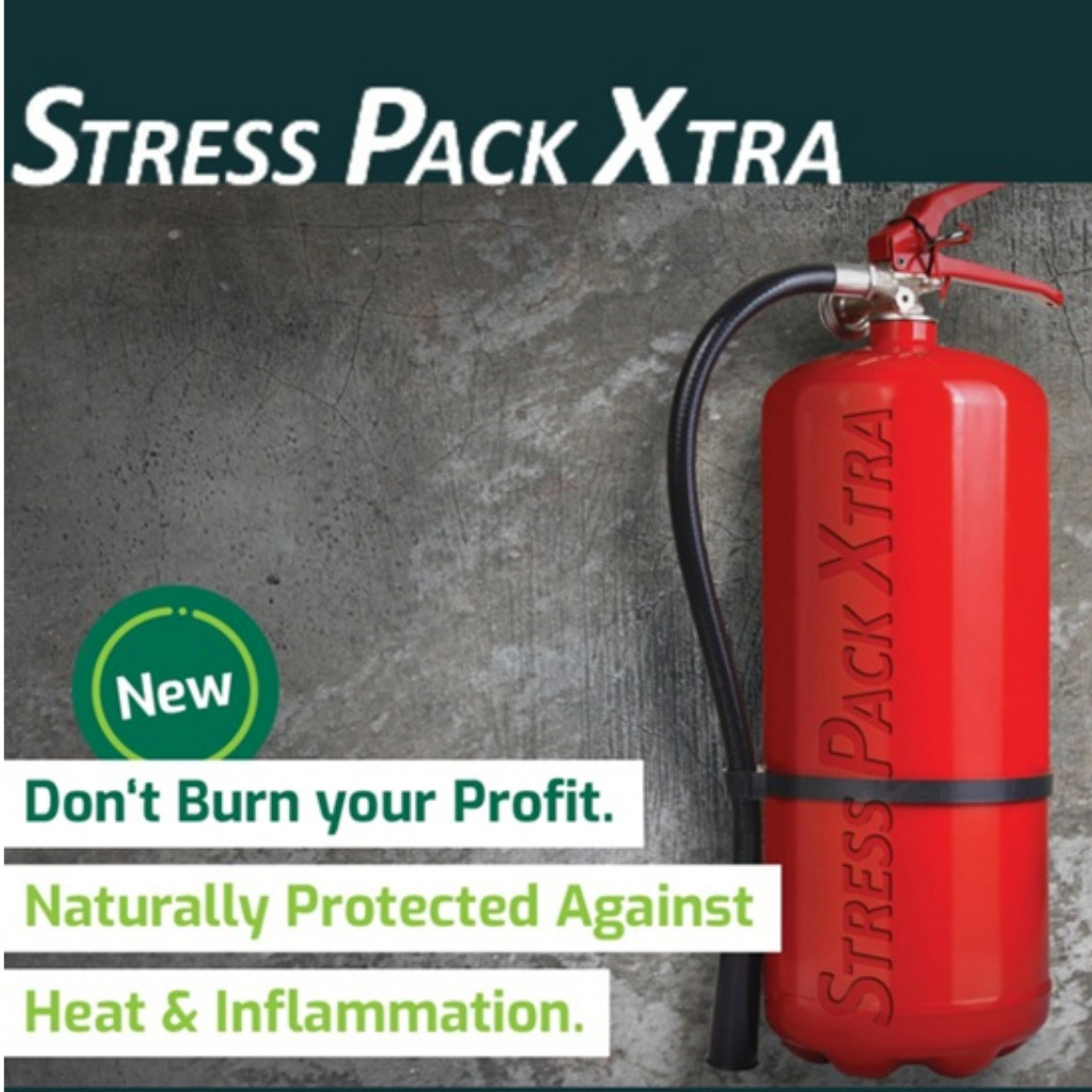 Stress Pack Xtra