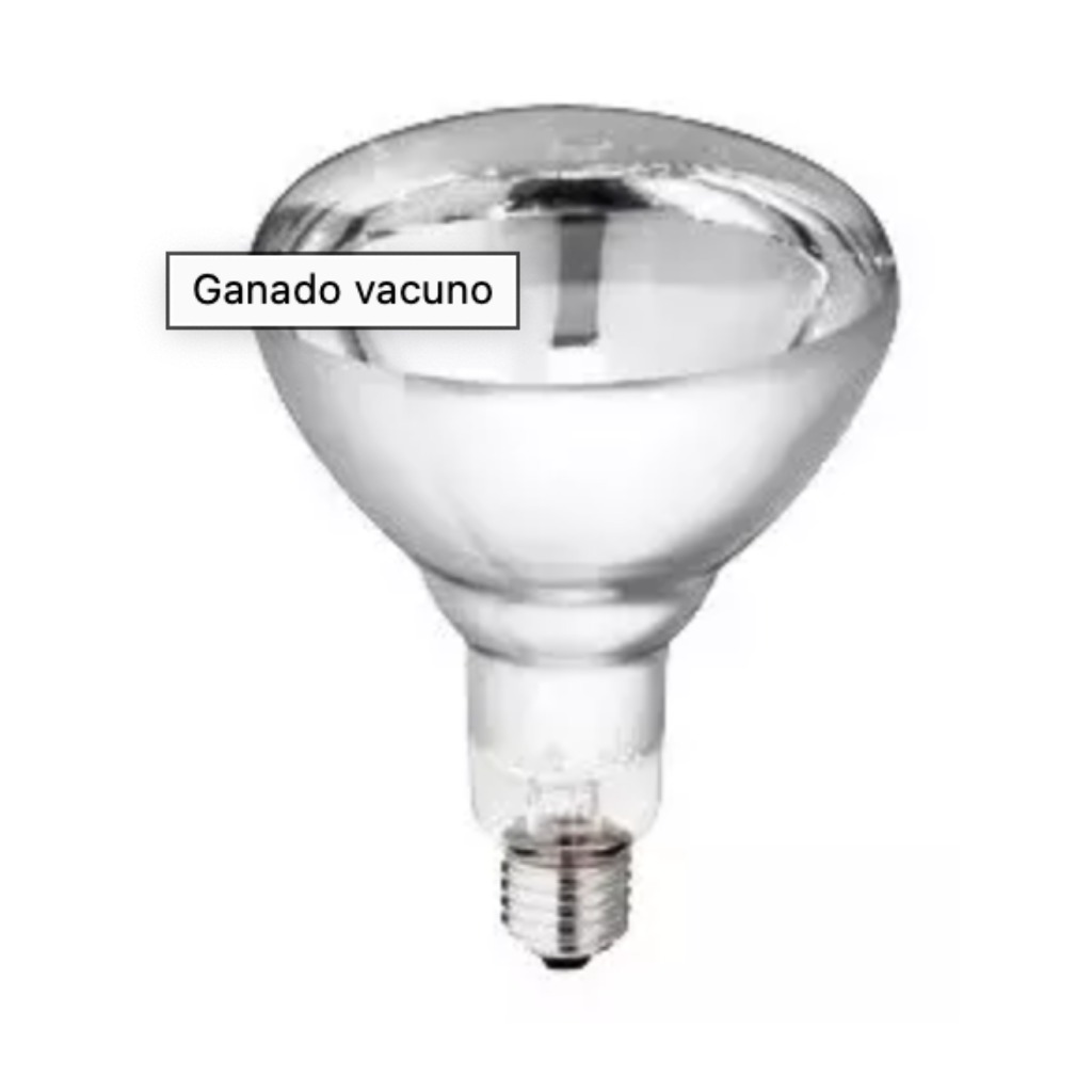 Lâmpada de aquecimento Philips vermelha 150 Watts HG 10 unidades