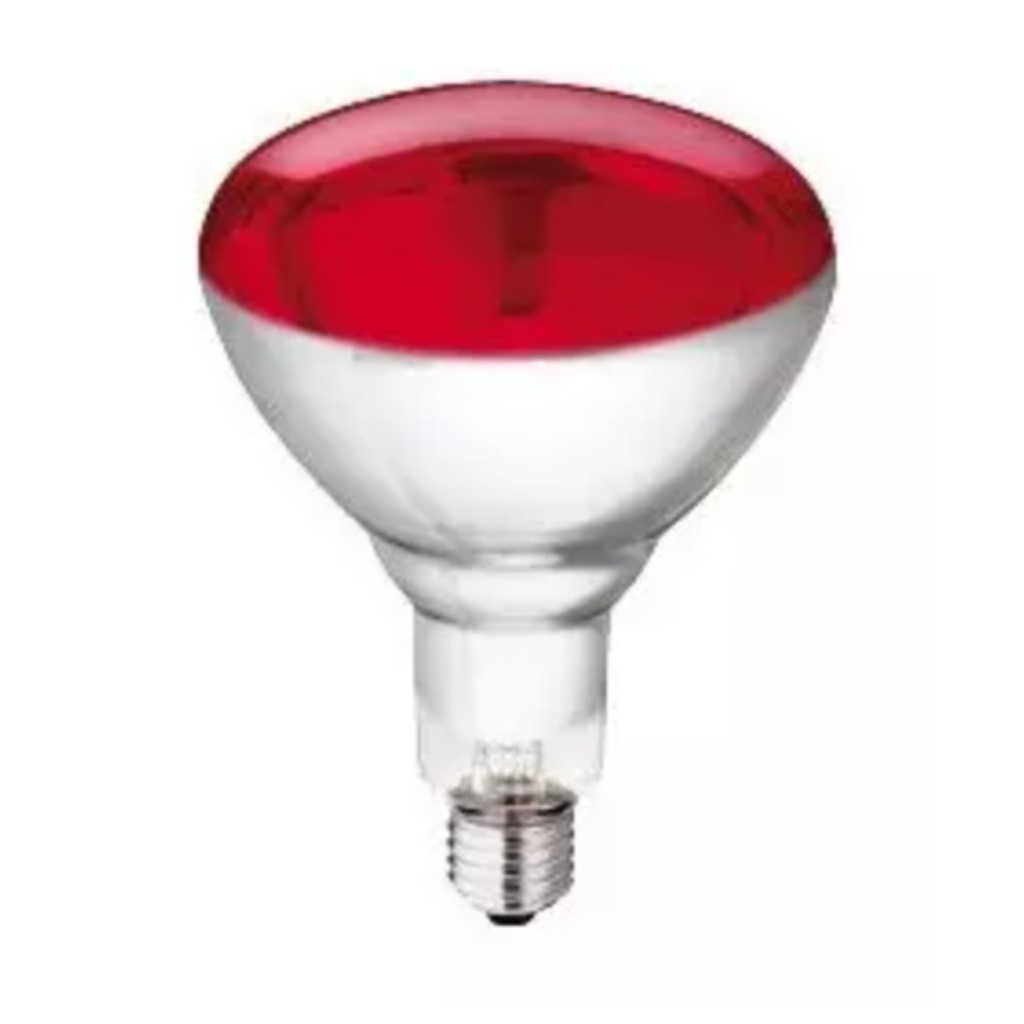 Lâmpada de aquecimento vermelha Philips HG 250 watts 10 unidades