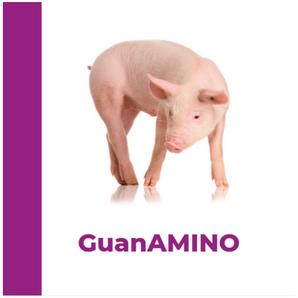 GuanAMINO