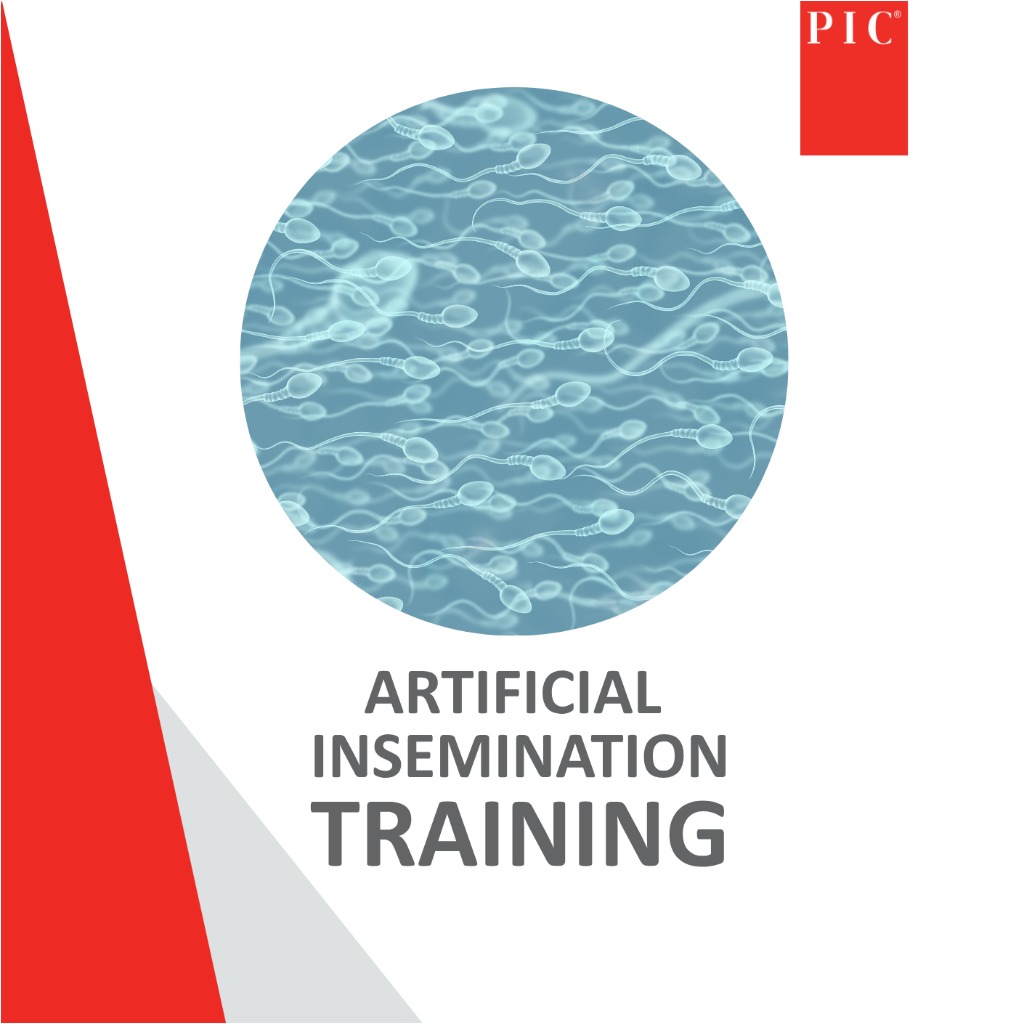 ONLINE Artificial Insemination Training - 12 Nov 2025