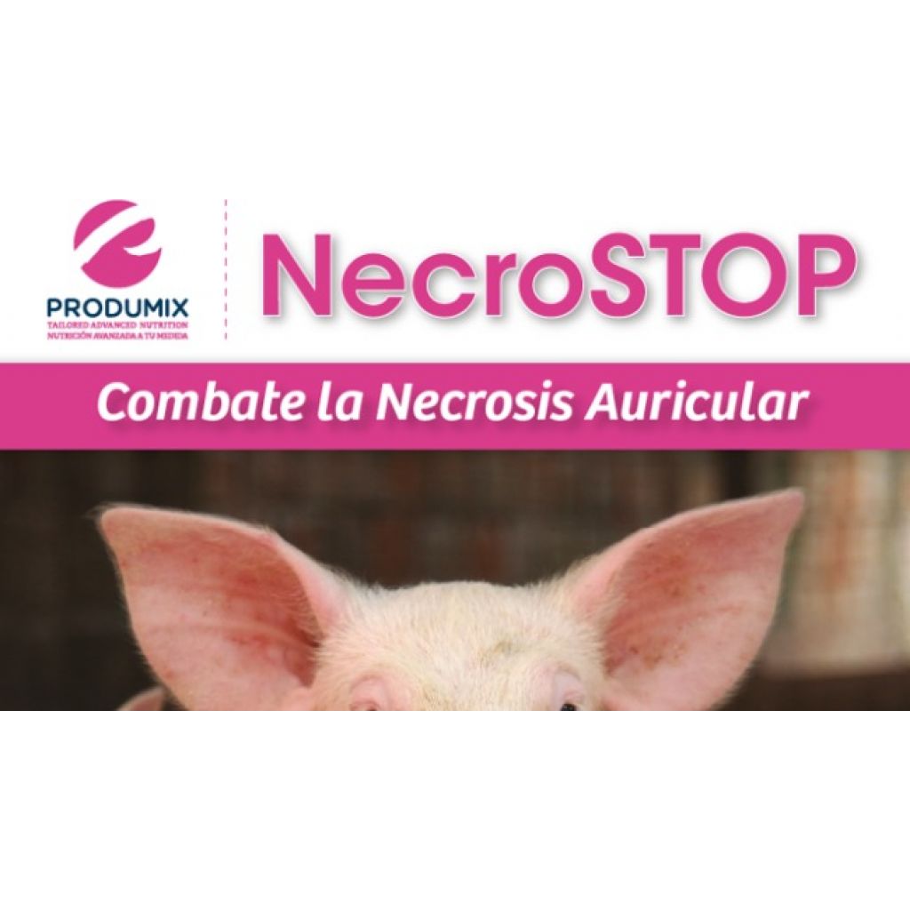 NecroSTOP