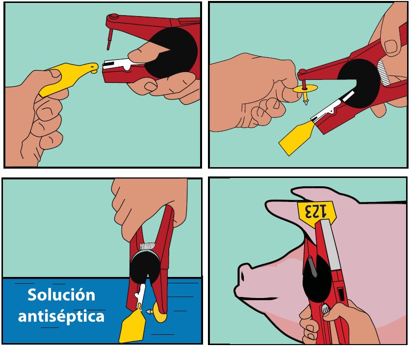 Alicate para brincar Allflex (7) Alicate para brincar Allflex (7)