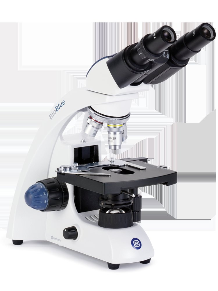 Microscópio binocular Euromex BioBlue Microscópio binocular Euromex BioBlue