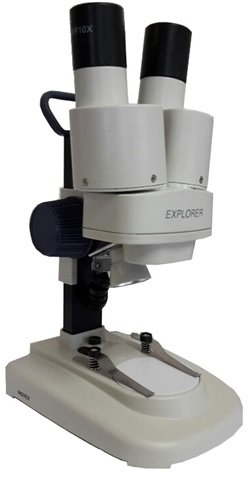 Microscópio estereoscópico de iniciação Microscópio estereoscópico de iniciação