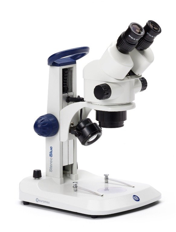 Microscópio estereoscópico EUROMEX StereoBlue Microscópio estereoscópico EUROMEX StereoBlue