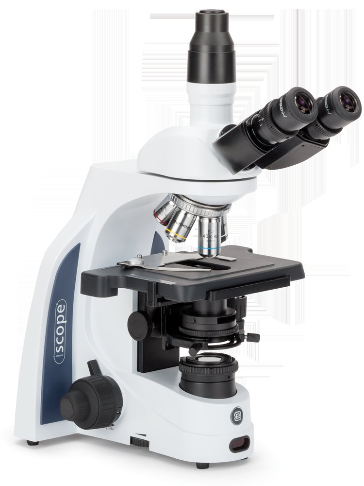 Microscópio trinocular Euromex iScope Microscópio trinocular Euromex iScope