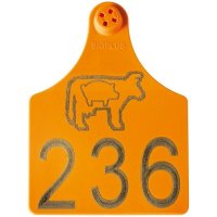 Brinco fêmea Bigplus para bovinos Brinco fêmea Bigplus para bovinos