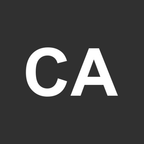 camila allendes manqui